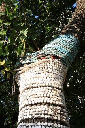 Mendoza arbre bouchons